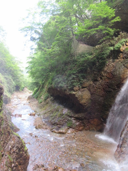 d0010065_10174413.jpg
