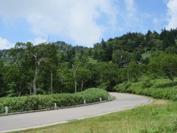 d0010065_10174892.jpg