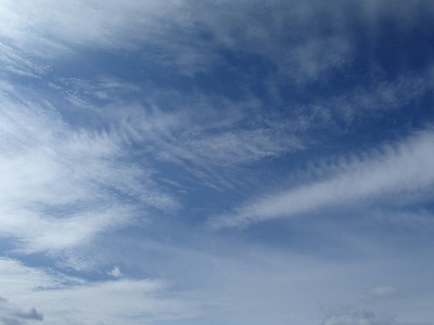 f0206270_2335125.jpg