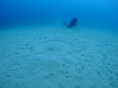 b0033573_21322636.jpg