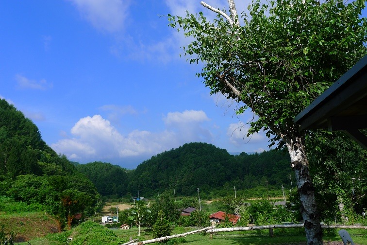 a0130586_8271576.jpg