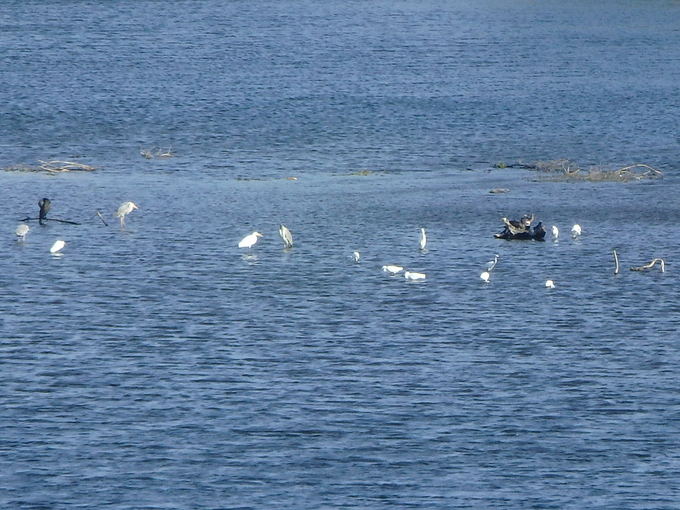 b0197486_9361017.jpg