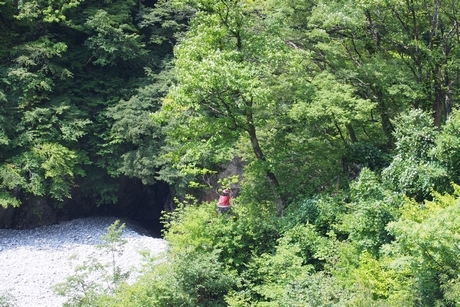 b0035391_21301950.jpg