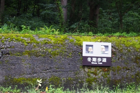 b0035391_21305514.jpg