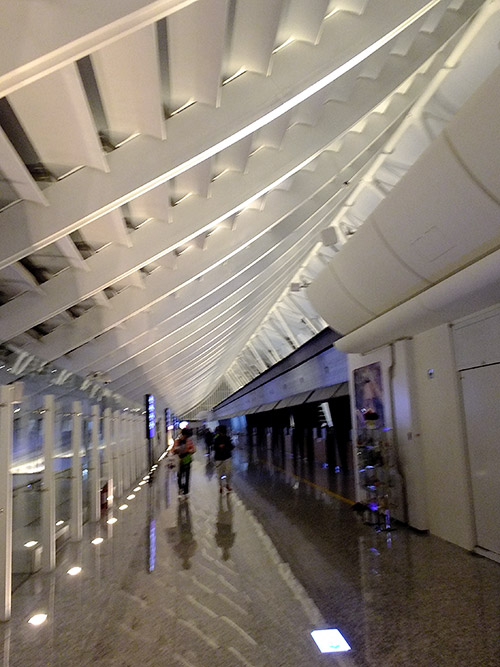 c0001491_0585231.jpg
