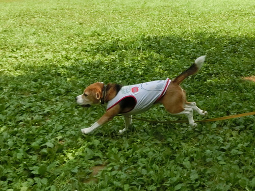 a0319693_749832.jpg