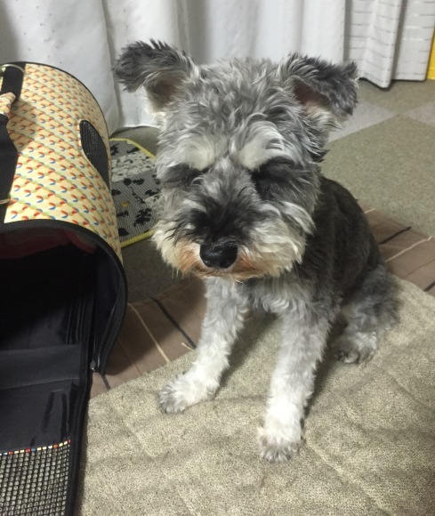 b0188998_00473229.jpeg