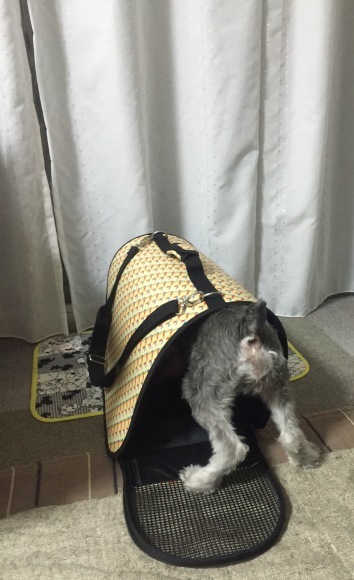 b0188998_01003345.jpeg