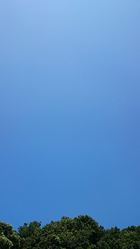 b0366199_02305423.jpg