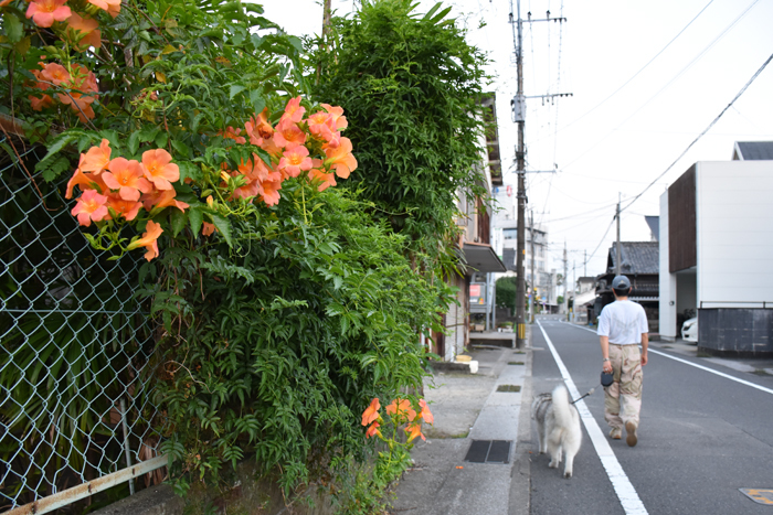 c0049299_21553835.jpg