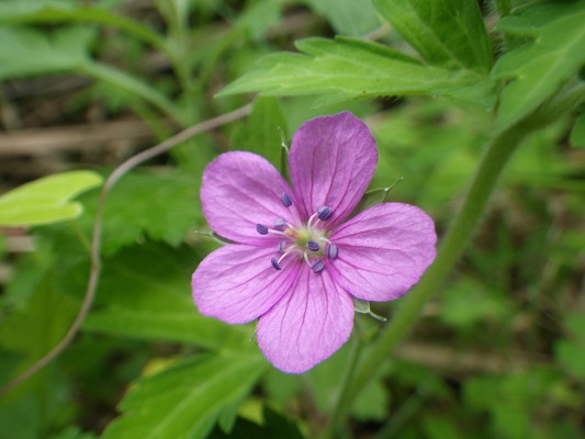 f0187402_15541290.jpg