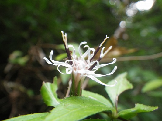 f0187402_15543180.jpg