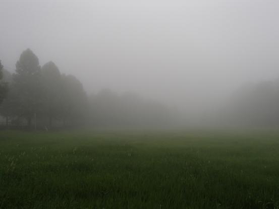 f0064906_15102845.jpg