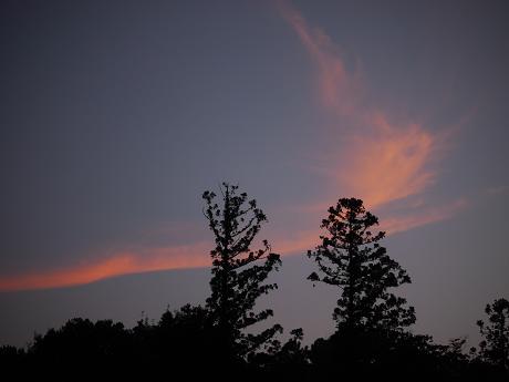c0098807_19552115.jpg