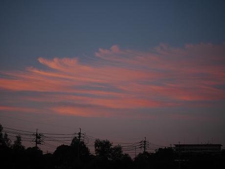 c0098807_2119468.jpg