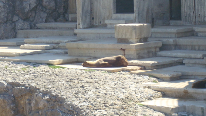 e0255908_1514858.jpg