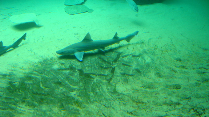 e0255908_15203915.jpg