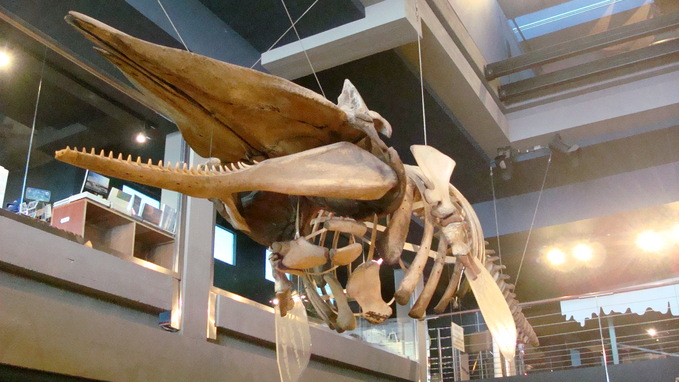 e0255908_15233376.jpg