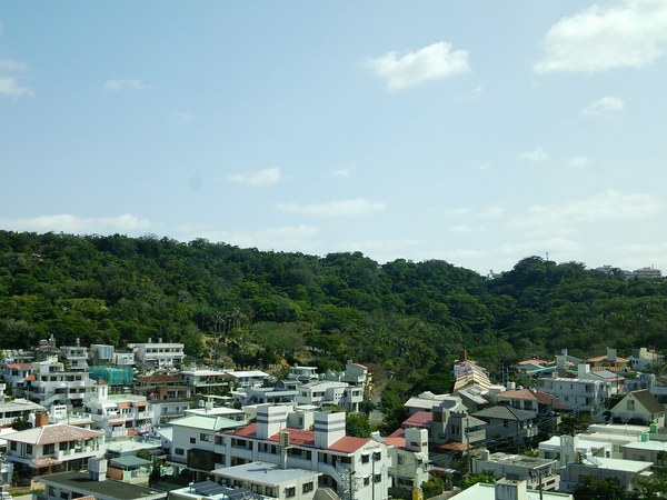 f0221708_1725614.jpg