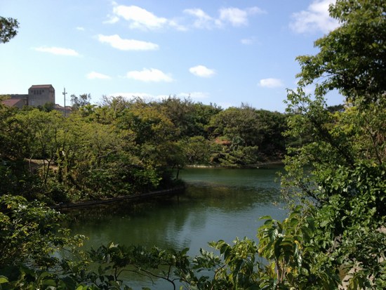 f0221708_1739478.jpg