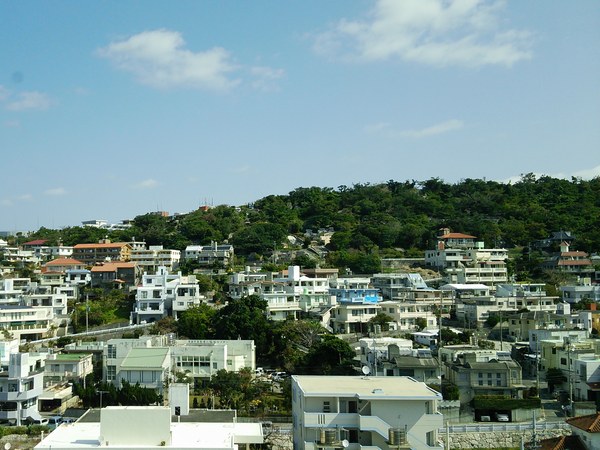 f0221708_1749477.jpg