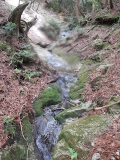 c0359615_09222880.jpg