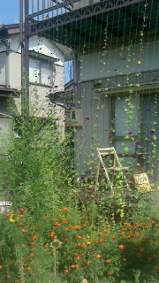 c0289116_2034596.jpg