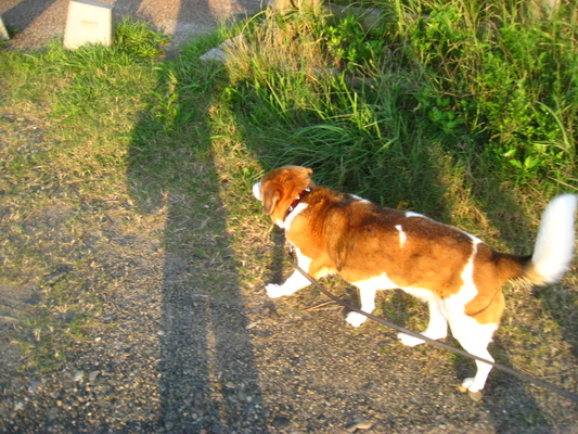 c0084117_231545.jpg