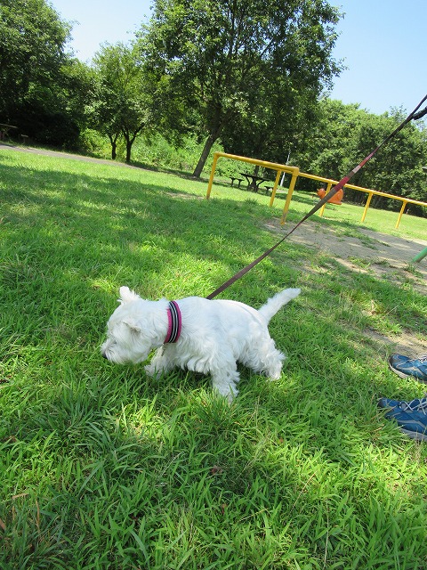 b0350820_1114329.jpg