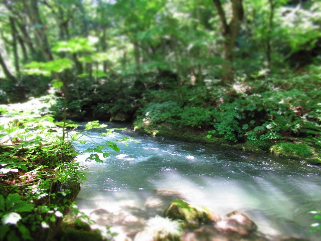 b0350820_11432823.jpg
