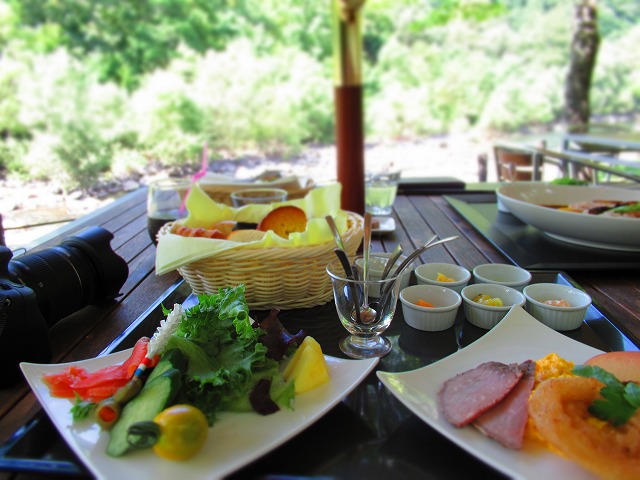 b0350820_1159347.jpg