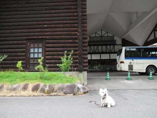 b0350820_13274357.jpg