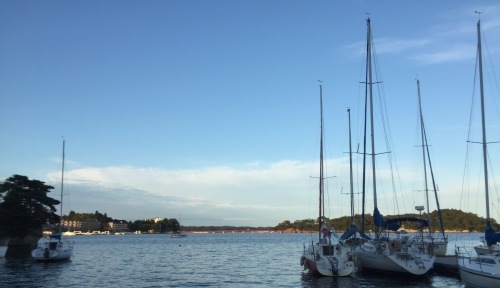 f0100920_17095816.jpeg