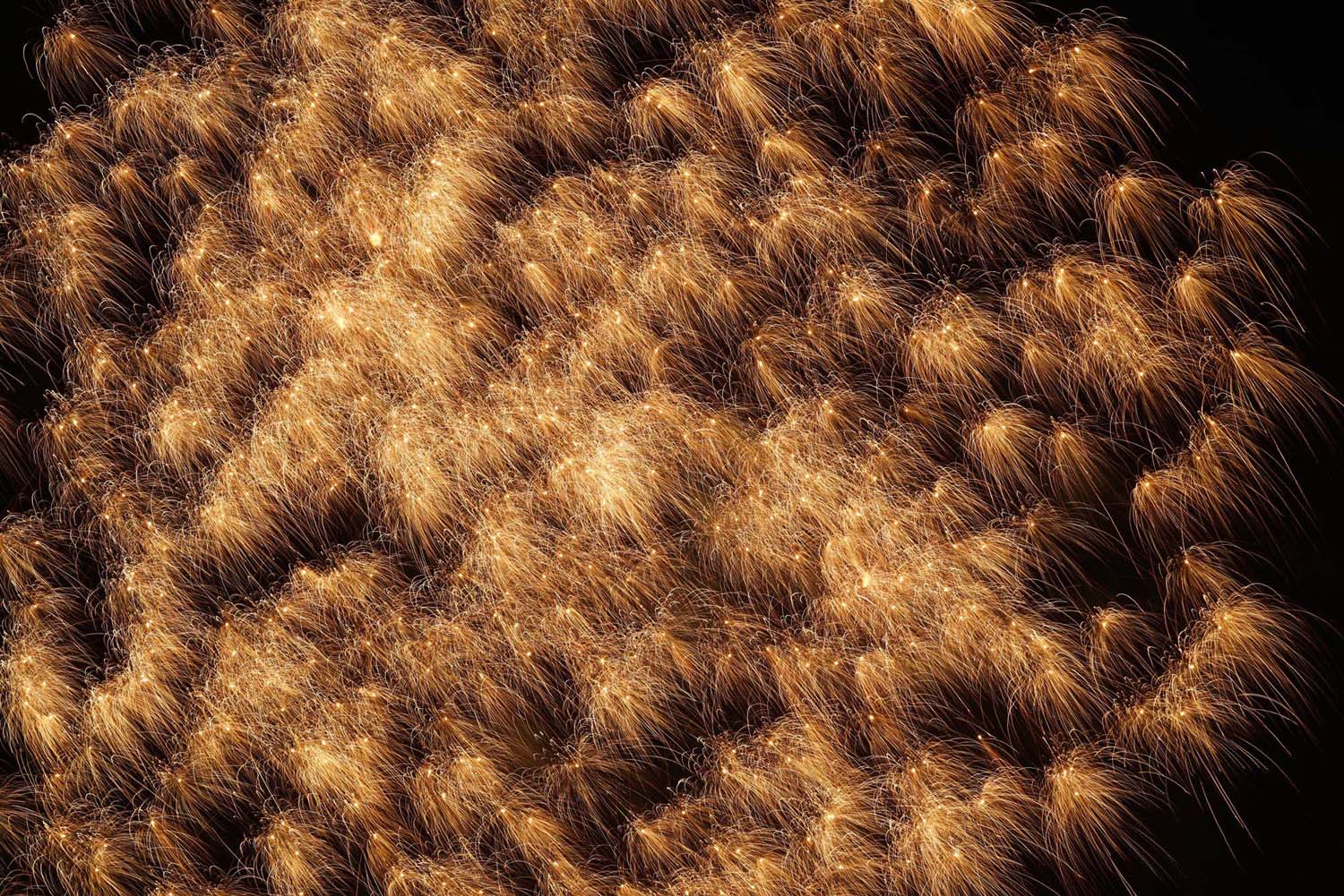 d0032222_22433431.jpg
