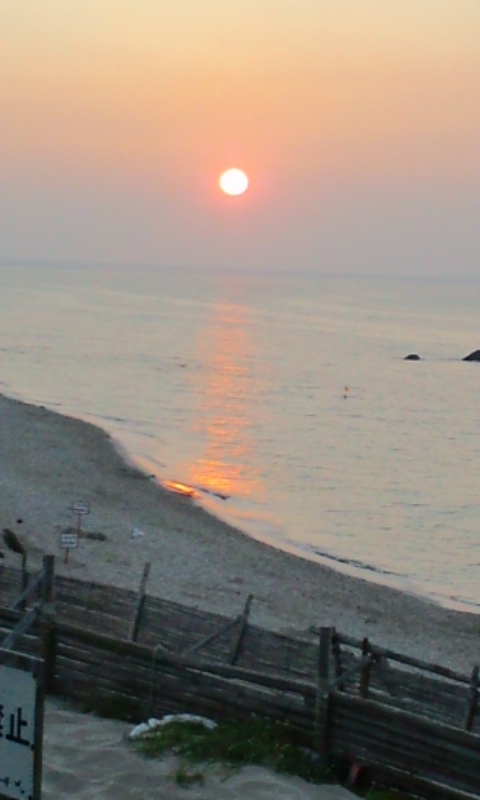e0050324_173146100.jpg