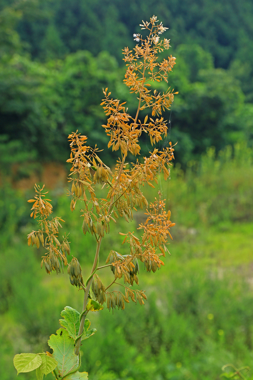 c0104227_1054989.jpg