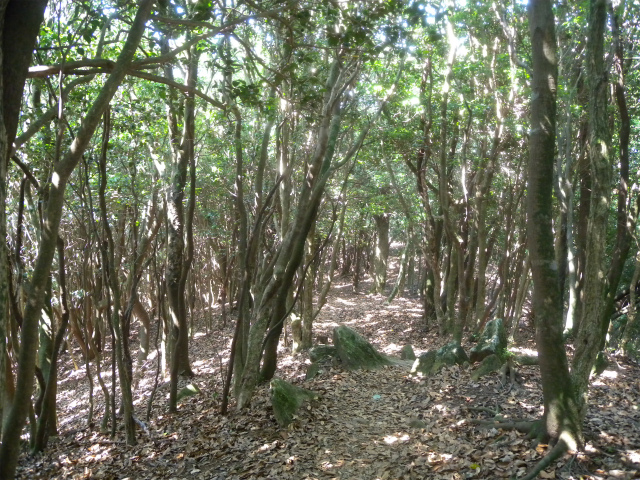 e0272335_4302420.jpg