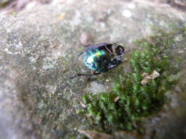 e0272335_4475656.jpg