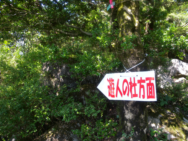 e0272335_4505837.jpg