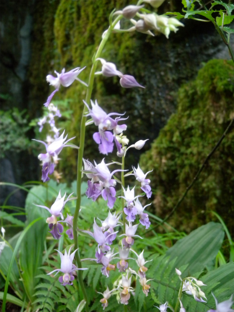 e0272335_520105.jpg
