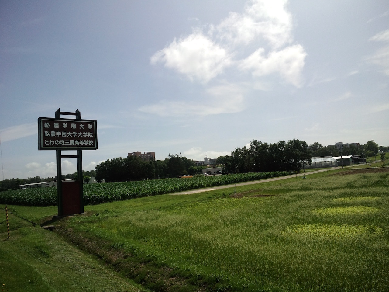 f0118335_22043107.jpg