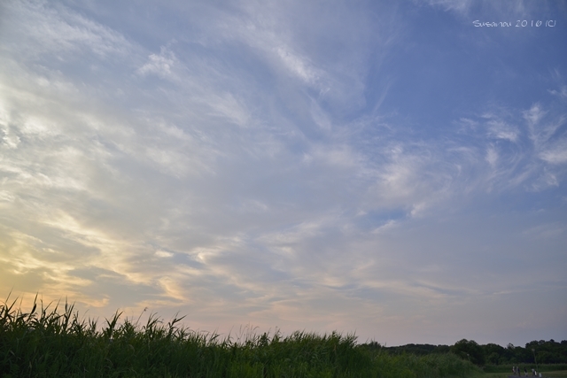 a0212036_11492291.jpg