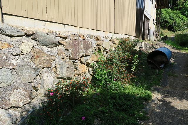 a0242438_2024315.jpg