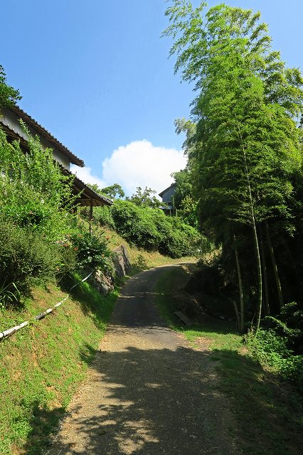 a0242438_2025828.jpg