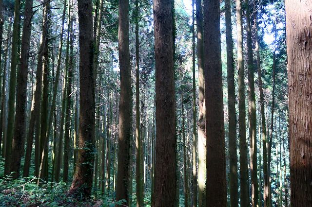 a0242438_2032381.jpg