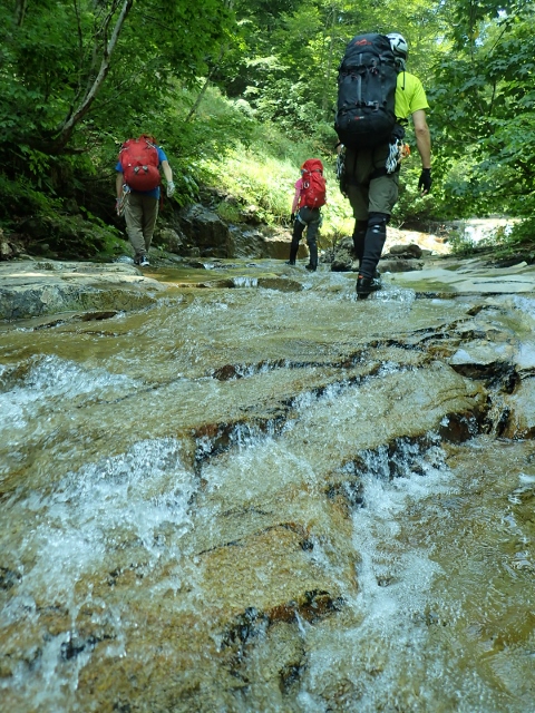 d0107938_12425298.jpg