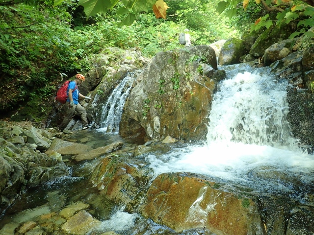 d0107938_1549996.jpg