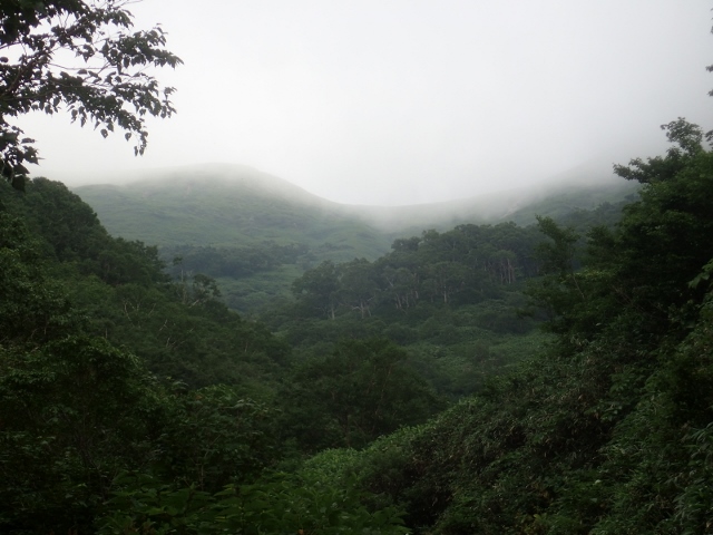 d0107938_15522948.jpg