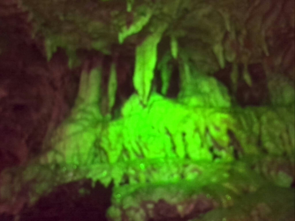 c0194042_12372737.jpg