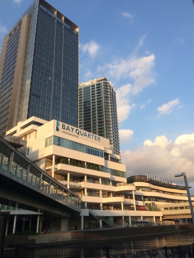 b0226748_18422267.jpeg